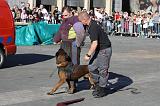 ARRESTATION POLICE 021